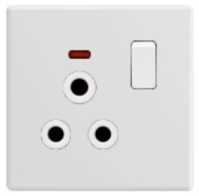 15A switched socket with neon